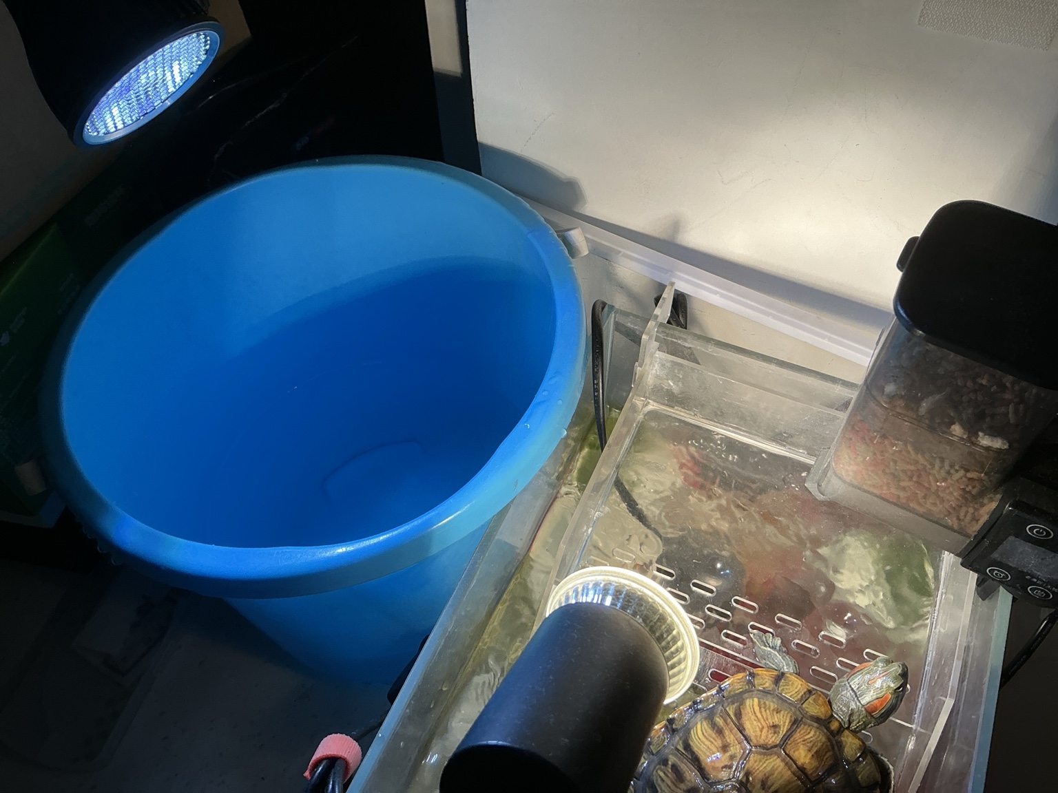 晒台上的小身影，照片1
